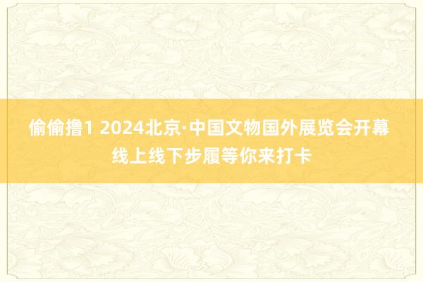 偷偷撸1 2024北京·中国文物国外展览会开幕 线上线下步履等你来打卡
