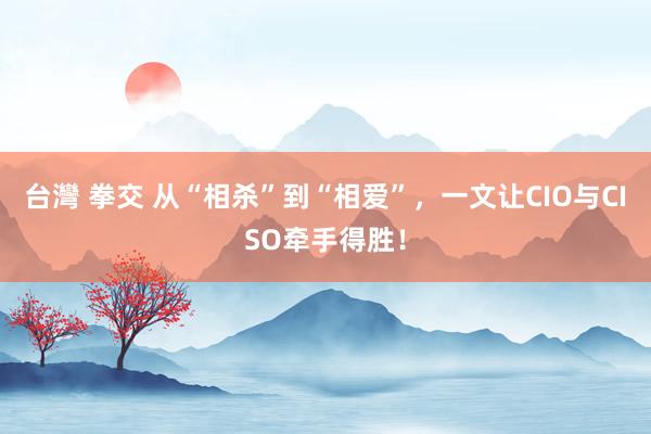 台灣 拳交 从“相杀”到“相爱”，一文让CIO与CISO牵手得胜！