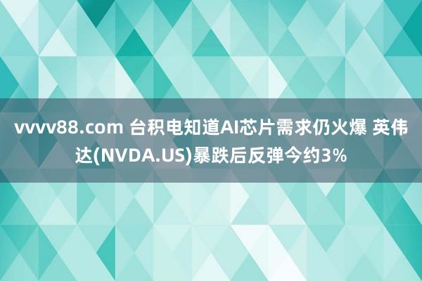 vvvv88.com 台积电知道AI芯片需求仍火爆 英伟达(NVDA.US)暴跌后反弹今约3%