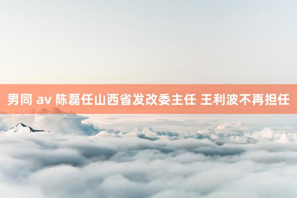 男同 av 陈磊任山西省发改委主任 王利波不再担任