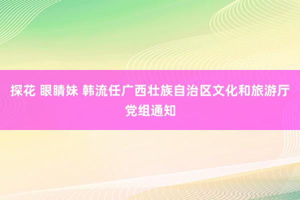 探花 眼睛妹 韩流任广西壮族自治区文化和旅游厅党组通知