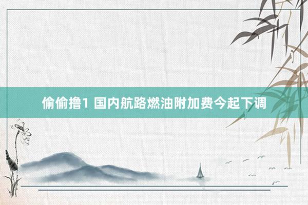 偷偷撸1 国内航路燃油附加费今起下调
