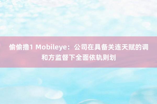 偷偷撸1 Mobileye：公司在具备关连天赋的调和方监督下全面依轨则划