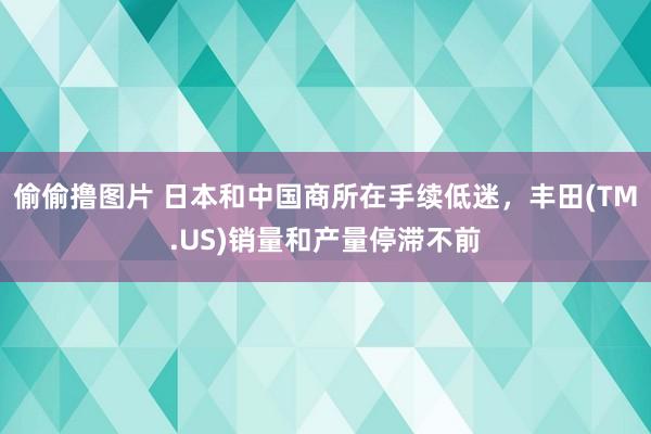 偷偷撸图片 日本和中国商所在手续低迷，丰田(TM.US)销量和产量停滞不前