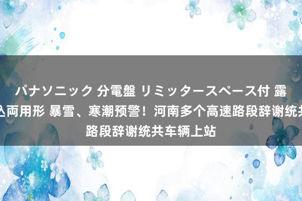 パナソニック 分電盤 リミッタースペース付 露出・半埋込両用形 暴雪、寒潮预警！河南多个高速路段辞谢统共车辆上站
