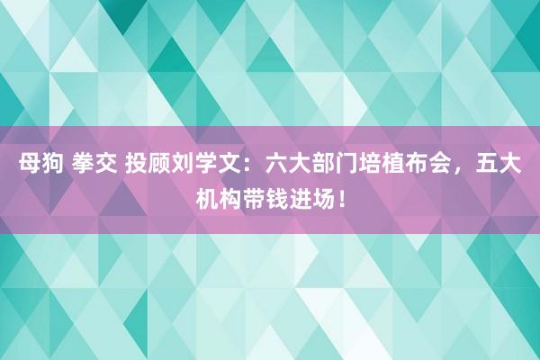 母狗 拳交 投顾刘学文：六大部门培植布会，五大机构带钱进场！