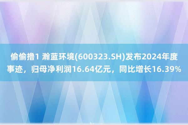 偷偷撸1 瀚蓝环境(600323.SH)发布2024年度事迹，归母净利润16.64亿元，同比增长16.39%